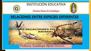 INSTITUCIÓN EDUCATIVA
“«Nuestra Señora de Guadalupe»
Profesora. Guadalupe Alpiste Dionicio.
RELACIONES ENTRE ESPECIES DIFERENTES
 