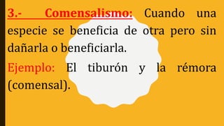 3.- Comensalismo: Cuando una
especie se beneficia de otra pero sin
dañarla o beneficiarla.
Ejemplo: El tiburón y la rémora
(comensal).