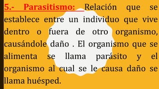 5.- Parasitismo: Relación que se
establece entre un individuo que vive
dentro o fuera de otro organismo,
causándole daño . El organismo que se
alimenta se llama parásito y el
organismo al cual se le causa daño se
llama huésped.