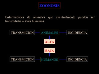 ZOONOSIS Enfermedades de animales que eventualmente pueden ser transmitidas a seres humanos. TRANSMICIÓN INCIDENCIA ALTA TRANSMICIÓN INCIDENCIA BAJA ANIMALES HUMANOS 