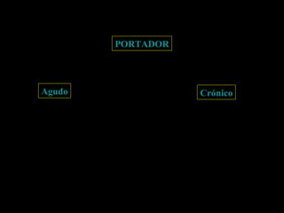 PORTADOR Agudo Crónico 