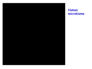 Human microbiome 