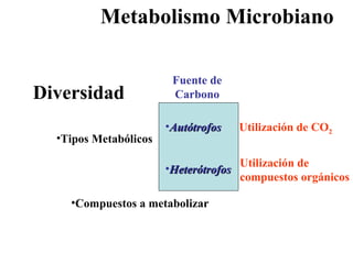 Metabolismo Microbiano Tipos Metabólicos Compuestos a metabolizar  Diversidad  Autótrofos Heterótrofos Fuente de Carbono Utilización de CO 2 Utilización de  compuestos orgánicos 