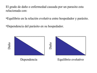 El grado de daño o enfermedad causada por un parasito esta relacionada con: Equilibrio en la relación evolutiva entre hospedador y parásito. Dependencia del parásito en su hospedador. Dependencia Daño Equilibrio evolutivo Daño 