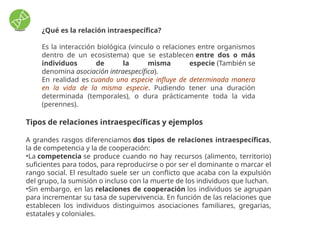 RELACIÓN INTRA E INTERESPECIFICA_CICLO BIOGEOQUIMICOS.pptx