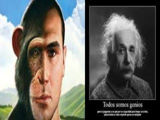 Relación nietzsche platón.2015