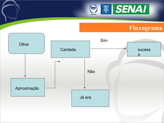 Fluxograma Sim Não Olhar Aproximação Cantada sucesso Já era 