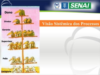 Visão Sistêmica dos Processos 
