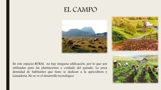 EL CAMPO
En este espacio RURAL no hay ninguna edificación, por lo que son
utilizadas para las plantaciones o cuidado del ganado. La poca
densidad de habitantes que tiene se dedican a la agricultura y
Ganadería, No se ve el desarrollo tecnológico
 