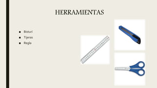 HERRAMIENTAS
■ Bisturí
■ Tijeras
■ Regla
 