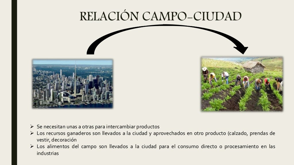 Relacion campo y ciudad
