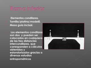  Elementos condilares.
 Tornillo/platina/model0.
 Mesa guía incisal.
 Los elementos condilares
son dos y pueden ser
colocados en cualquiera
de las tres distancias
intercondilares, que
corresponden a cálculos
obtenidos y
estandarizados gracias a
diversos estudios
antropométricos
 