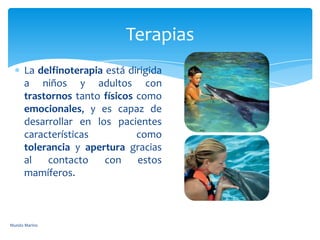 La delfinoterapia está dirigida
a niños y adultos con
trastornos tanto físicos como
emocionales, y es capaz de
desarrollar en los pacientes
características como
tolerancia y apertura gracias
al contacto con estos
mamíferos.
Terapias
Mundo Marino
 