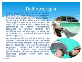 Existen programas de terapias con delfines
para embarazadasy personas con depresión.
Afirman que la curación proviene del afecto y
la tolerancia de los delfines, mientras que
otras sugieren que es su sonar natural que
actúa en el interior del cuerpo humano,
estimulando el sistema inmunológico,
facilitando la curación. También hay
científicos que afirman que es capaz de
incrementar la capacidad de aprendizaje
entre un 3 y un 11%.
Los resultados de sus estudios indican que
algunos pacientes tienen mayor desarrollo
de las habilidades motoras, los pacientes con
cáncer encuentran alivio con el aislamiento
emocional y quienes sufren de esclerosis
múltiple y autismo han respondido
positivamente, aunque sostienen que estos
resultados pueden variar para cada
individuo.
Delfinoterapia
Mundo Marino
 