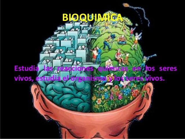 Relacion de la quimica con otras ciencias