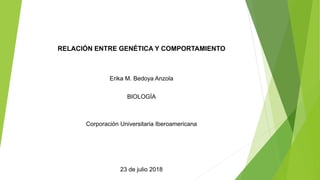 RELACIÓN ENTRE GENÉTICA Y COMPORTAMIENTO
Erika M. Bedoya Anzola
BIOLOGÍA
Corporación Universitaria Iberoamericana
23 de julio 2018
 