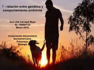 7 - relación entre genética y
comportamiento-ambiente
Ana Lilia Carvajal Maya
ID: 100064132
Marzo 2019.
Corporación Universitaria
Iberoamericana.
Putumayo.
Biología
 