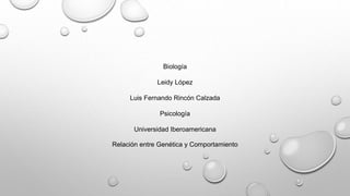 Biología
Leidy López
Luis Fernando Rincón Calzada
Psicología
Universidad Iberoamericana
Relación entre Genética y Comportamiento
 
