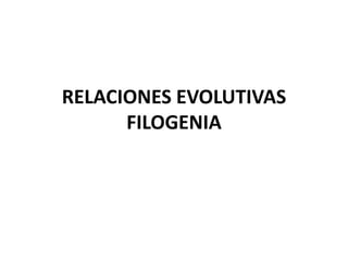 RELACIONES EVOLUTIVAS
FILOGENIA
 