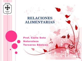 RELACIONES ALIMENTARIAS Prof. Carla Soto Naturaleza Terceros Básicos 