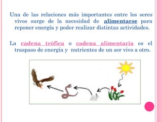 Una de las relaciones más importantes entre los seres vivos surge de la necesidad de   alimentarse  para reponer energía y poder realizar distintas actividades. La  cadena trófica   o  cadena alimentaria   es el traspaso de energía y  nutrientes de un ser vivo a otro. 