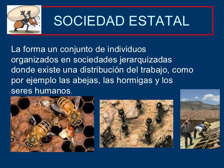 Relacionesalimentarias Interespecificas
