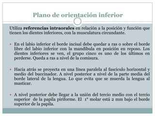 Plano de orientación inferior

Utiliza referencias intraorales en relación a la posición y función que
tienen los dientes inferiores, con la musculatura circundante.

 En el labio inferior el borde incisal debe quedar a ras o sobre el borde
  libre del labio inferior con la mandíbula en posición en reposo. Los
  dientes inferiores se ven, el grupo cinco es uno de los últimos en
  perderse. Queda a ras a nivel de la comisura.

 Hacia atrás se proyecta en una línea paralela al fascículo horizontal y
  medio del buccinador. A nivel posterior a nivel de la parte media del
  borde lateral de la lengua. Lo que evita que se muerda la lengua al
  masticar.

 A nivel posterior debe llegar a la unión del tercio medio con el tercio
  superior de la papila piriforme. El 1° molar está 2 mm bajo el borde
  superior de la papila.
 