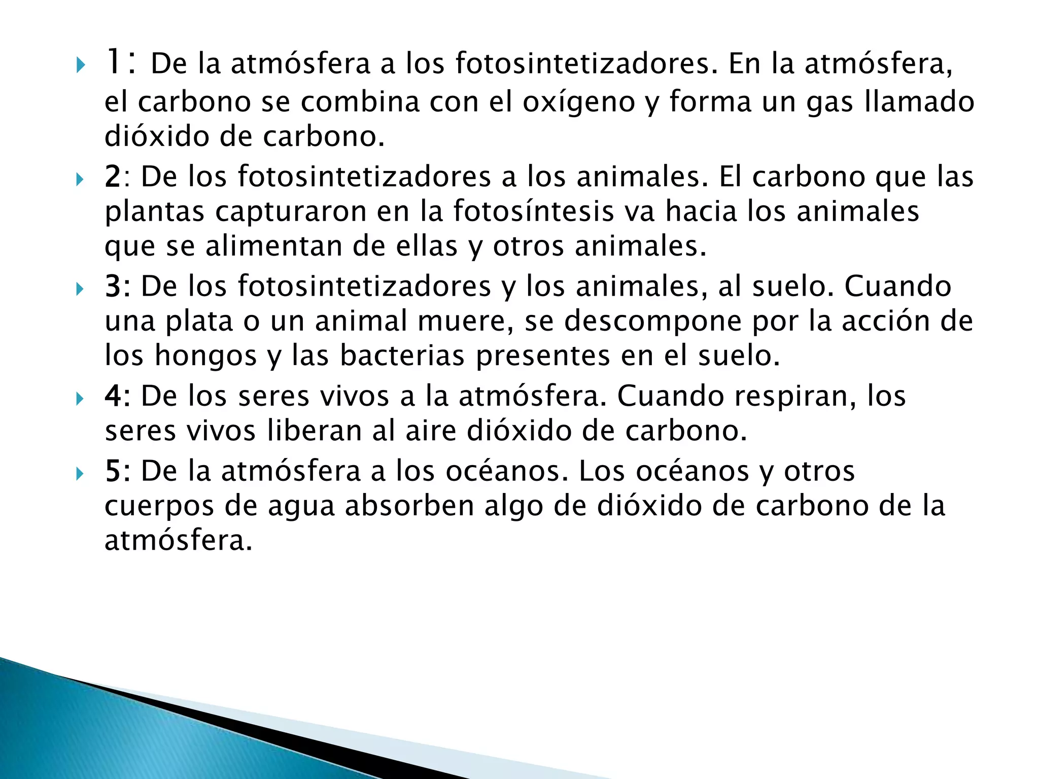  1: De la atmósfera a los fotosintetizadores. En la atmósfera,
el carbono se combina con el oxígeno y forma un gas llamado
dióxido de carbono.
 2: De los fotosintetizadores a los animales. El carbono que las
plantas capturaron en la fotosíntesis va hacia los animales
que se alimentan de ellas y otros animales.
 3: De los fotosintetizadores y los animales, al suelo. Cuando
una plata o un animal muere, se descompone por la acción de
los hongos y las bacterias presentes en el suelo.
 4: De los seres vivos a la atmósfera. Cuando respiran, los
seres vivos liberan al aire dióxido de carbono.
 5: De la atmósfera a los océanos. Los océanos y otros
cuerpos de agua absorben algo de dióxido de carbono de la
atmósfera.
 