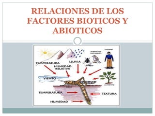RELACIONES DE LOS
FACTORES BIOTICOS Y
ABIOTICOS
 
