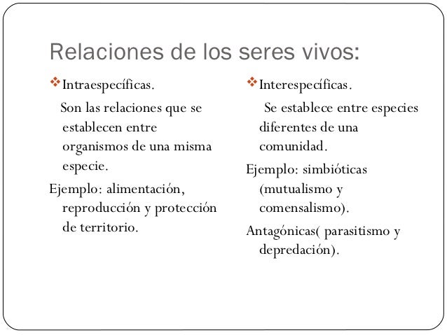 Relaciones de los seres vivos