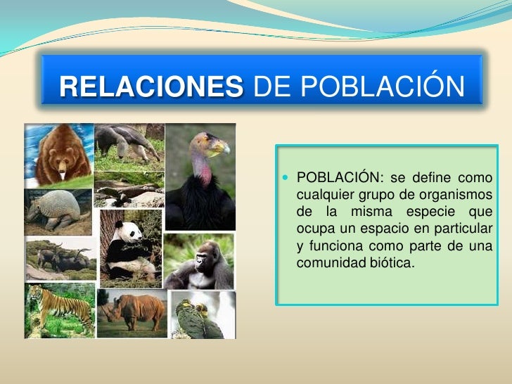 Relaciones de población, comunidad y supervivencia