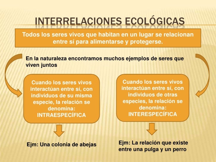 Relaciones Ecológicas en el Ecosistema