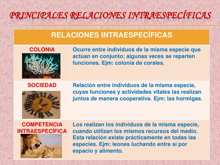 Relaciones Ecológicas en el Ecosistema