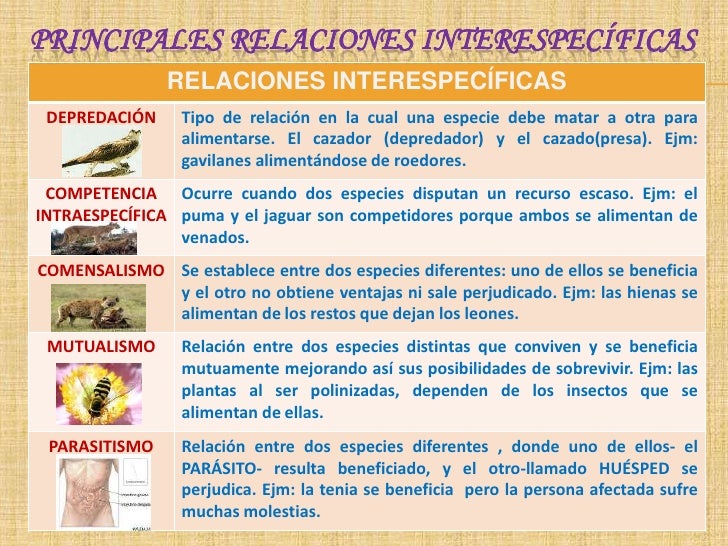 Relaciones Ecológicas en el Ecosistema