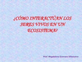 ¿CÓMO INTERACTÚAN LOS 
SERES VIVOS EN UN 
ECOSISTEMA? 
Prof. Magdalena Guevara Villanueva 
 