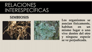 RELACIONES
INTERESPECÍFICAS
SIMBIOSIS
Los organismos se
asocian físicamente,
habitan en un
mismo lugar o uno
vive dentro del otro
y ninguna especie
se ve perjudicada.