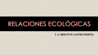RELACIONES ECOLÓGICASRELACIONES ECOLÓGICAS
I. A. BRIGITTE CASTRO PRIETO
 