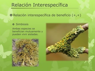 Relacion intraespecifica e interespecifica | PDF