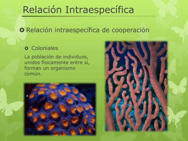 Relacion intraespecifica e interespecifica | PDF