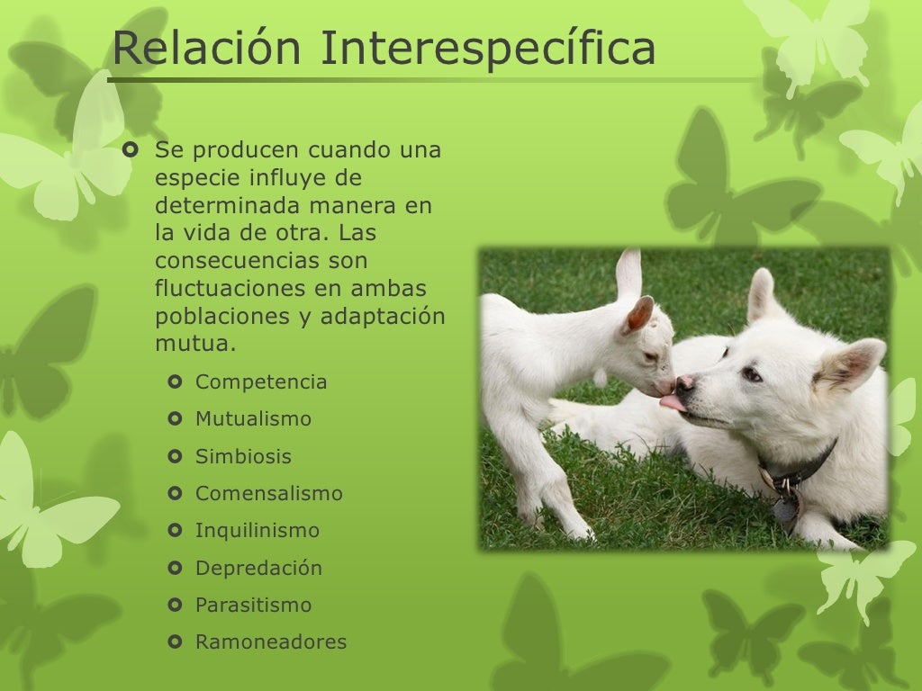 Relacion intraespecifica e interespecifica Relacion intraespecifica e interespecifica
