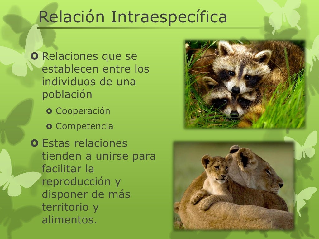 Relacion intraespecifica e interespecifica