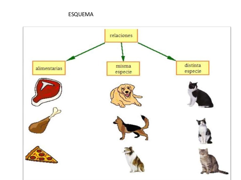 Qual Dos Seguintes Grupos Inclui Organismos Mais Relacionados Entre Si