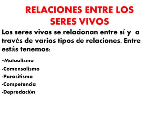 RELACIONES ENTRE LOS
SERES VIVOS
Los seres vivos se relacionan entre sí y a
través de varios tipos de relaciones. Entre
estás tenemos:
-Mutualismo
-Comensalismo
-Parasitismo
-Competencia
-Depredación
 