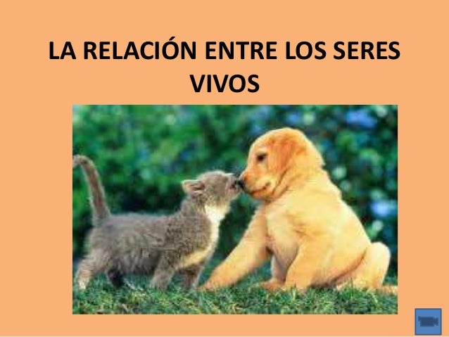 Relaciones entre los seres vivos zuazo fiorotto-alejo