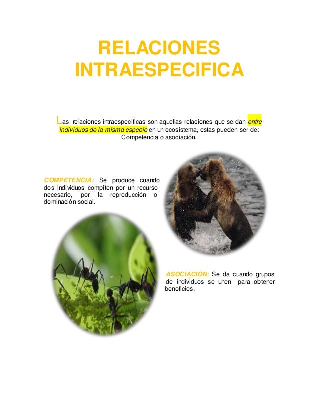 Relaciones interintraespecificas