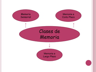 Clases de
Memoria
Memoria
Sensorial
Memoria a
Corto Plazo
Memoria a
Largo Plazo
 