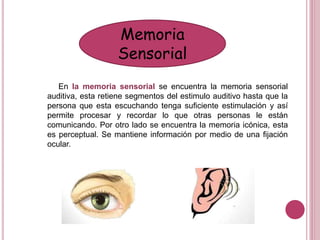 Memoria
Sensorial
En la memoria sensorial se encuentra la memoria sensorial
auditiva, esta retiene segmentos del estimulo auditivo hasta que la
persona que esta escuchando tenga suficiente estimulación y así
permite procesar y recordar lo que otras personas le están
comunicando. Por otro lado se encuentra la memoria icónica, esta
es perceptual. Se mantiene información por medio de una fijación
ocular.
 