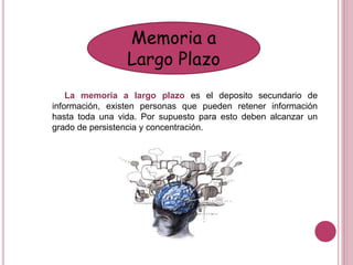 Memoria a
Largo Plazo
La memoria a largo plazo es el deposito secundario de
información, existen personas que pueden retener información
hasta toda una vida. Por supuesto para esto deben alcanzar un
grado de persistencia y concentración.
 