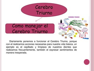 Cerebro
Triurno
Como manejar el
Cerebro Triurno
Diariamente ponemos a funcionar el Cerebro Triurno, porque
con el realizamos acciones necesarias para nuestra vida básica, un
ejemplo es el cepillado y limpieza de nuestros dientes que
realizamos frecuentemente, también el expresar sentimientos de
manera inesperada.
 