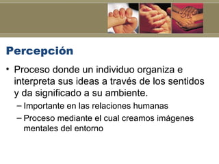 Percepción
• Proceso donde un individuo organiza e
  interpreta sus ideas a través de los sentidos
  y da significado a su ambiente.
  – Importante en las relaciones humanas
  – Proceso mediante el cual creamos imágenes
    mentales del entorno
 